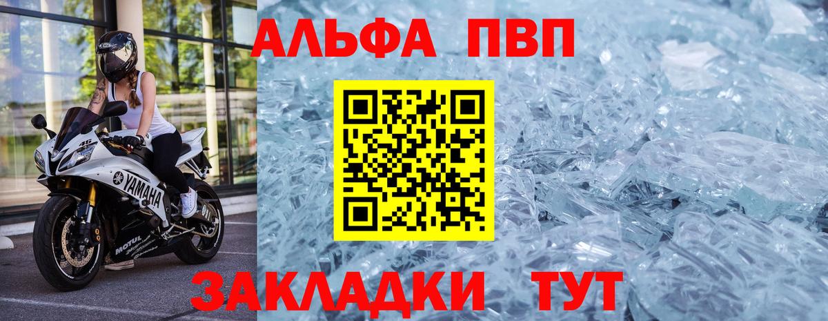 A PVP СК Асино