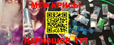 гидра Ставрополь