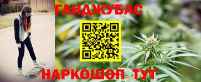 гидра Ставрополь